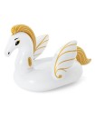 Floating Ride -  Luxury Pegasus