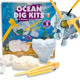 Ocean dig kit