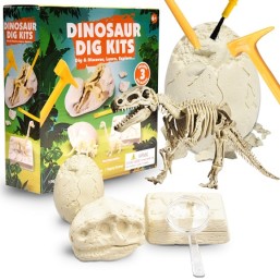 Dinosaur Dig Kits