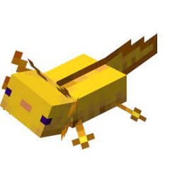 SS Minecraft Axolotl